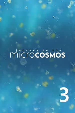 Temporada 3