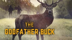 The Godfather Buck — foto 2