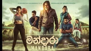 මන්දාරා — foto 1