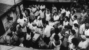 Salut les Cubains — foto 6