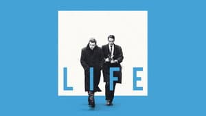Life — foto 4