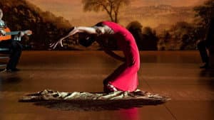 Flamenco Flamenco — foto 1