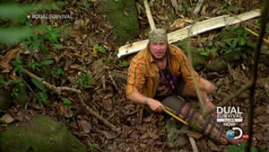 Episodio 6