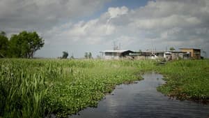 Wild Mississippi — foto 1