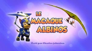 Episodio 40