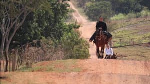 Estrela da Manhã — foto 1