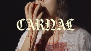 Carnal — foto 1