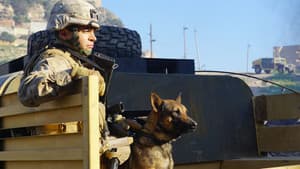 Megan Leavey — foto 7