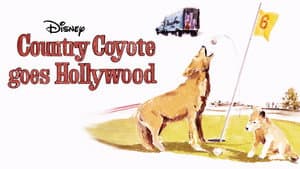 A Country Coyote Goes Hollywood — foto 5