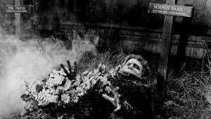 La maldición de los zombies — foto 1