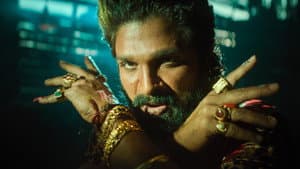 పుష్పా 2 - The Rule — foto 11