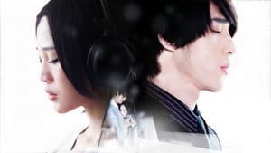 紫玫瑰 — foto 1