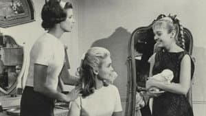 13 Frightened Girls — foto 2