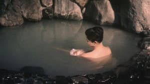 秋津温泉 — foto 1