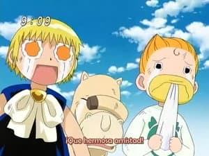 Vuelve el Maravilloso Magestic 12