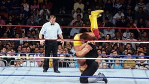 WWE Survivor Series 1991 — foto 3