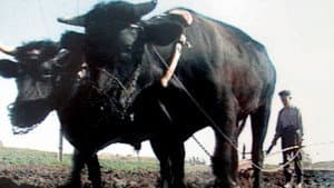 Tierra Olvidada — foto 1