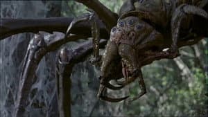 Arachnid — foto 2