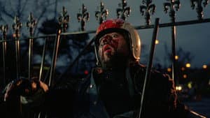 I Bought a Vampire Motorcycle — foto 7
