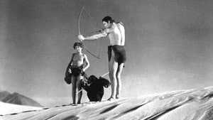 Tarzan el temerario — foto 2