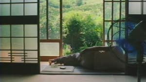 火垂 — foto 7