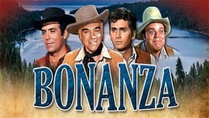 Bonanza — foto 12