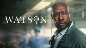 Watson — foto 10
