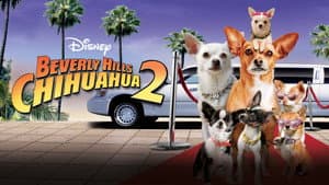 Una chihuahua de Beverly Hills 2 — foto 3