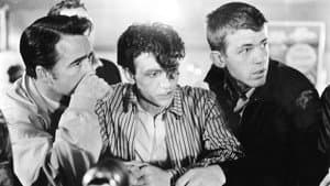 The Cool and the Crazy — foto 2
