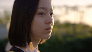벌새 — foto 3