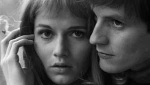 Vivre la nuit — foto 2