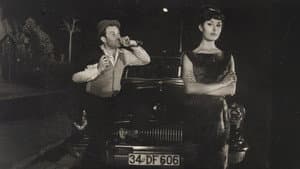 Bekri Mustafa — foto 2