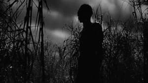 Shadows in the Dark: The Val Lewton Legacy — foto 2
