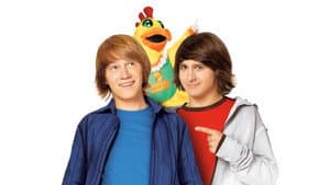 Pedro, el pollo — foto 2