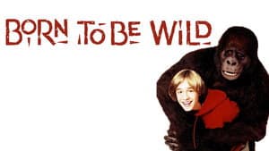 Born to Be Wild — foto 2