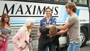 Episodio 7
