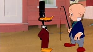 Wise Quackers — foto 1