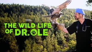 The Wild Life of Dr. Ole — foto 6