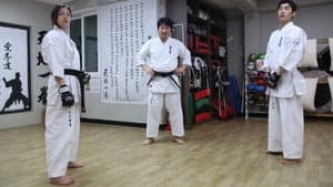 공수도 — foto 2