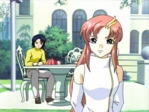 Episodio 20
