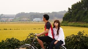 재꽃 — foto 8