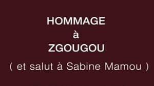 Hommage à Zgougou (et salut à Sabine Mamou) — foto 2