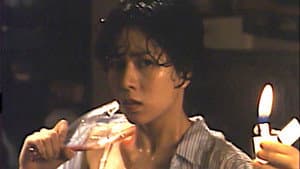 机密档案实录火蝴蝶 — foto 6