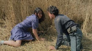La notte di San Lorenzo — foto 1