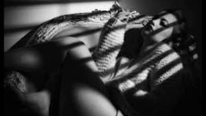 Film Noir: Bringing Darkness to Light — foto 1