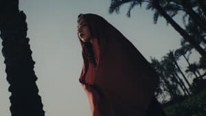 حمول السفر — foto 1