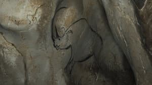 Cave of Forgotten Dreams — foto 4