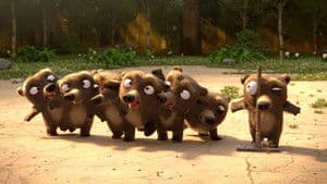 Los 7 osos — foto 2