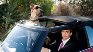 Marmaduke — foto 10