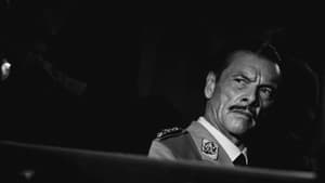 Curtiz — foto 4